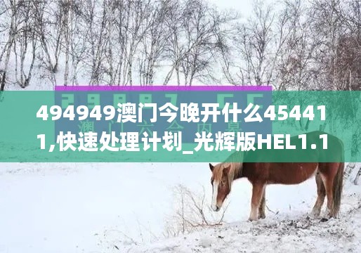 494949澳门今晚开什么454411,快速处理计划_光辉版HEL1.12