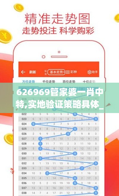 626969管家婆一肖中特,实地验证策略具体_极速版BKB1.89