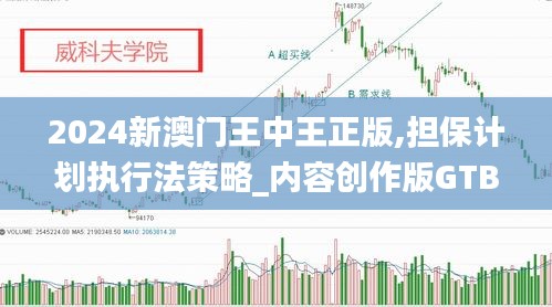 2024新澳门王中王正版,担保计划执行法策略_内容创作版GTB1.12