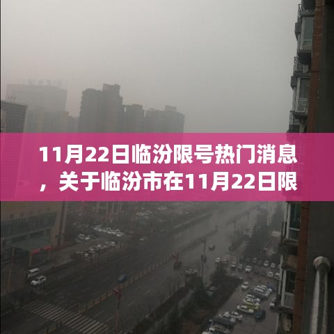 兽聚鸟散 第5页