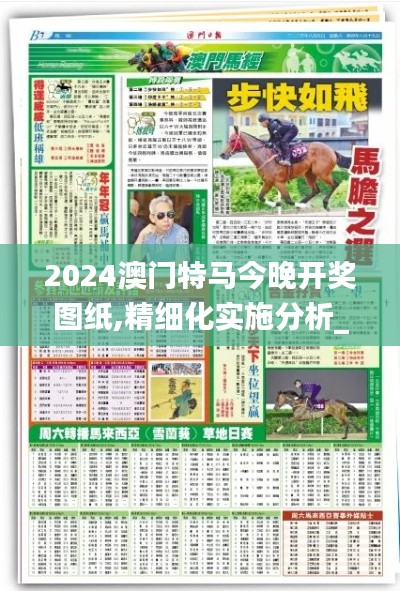 2024澳门特马今晚开奖图纸,精细化实施分析_专业版ZTB1.3
