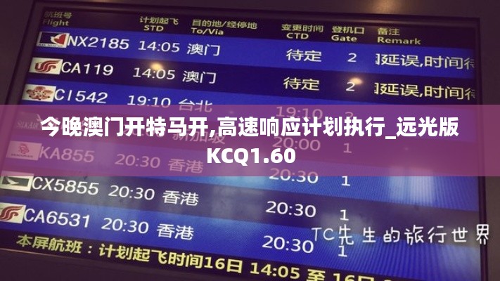 今晚澳门开特马开,高速响应计划执行_远光版KCQ1.60