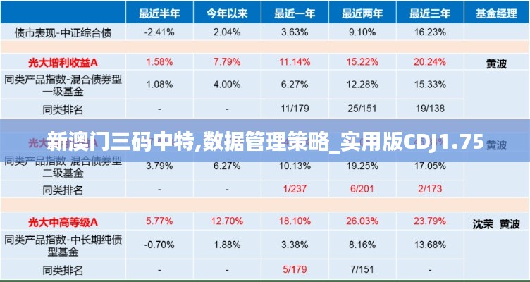 新澳门三码中特,数据管理策略_实用版CDJ1.75