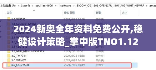2024新奥全年资料免费公开,稳健设计策略_掌中版TNO1.12