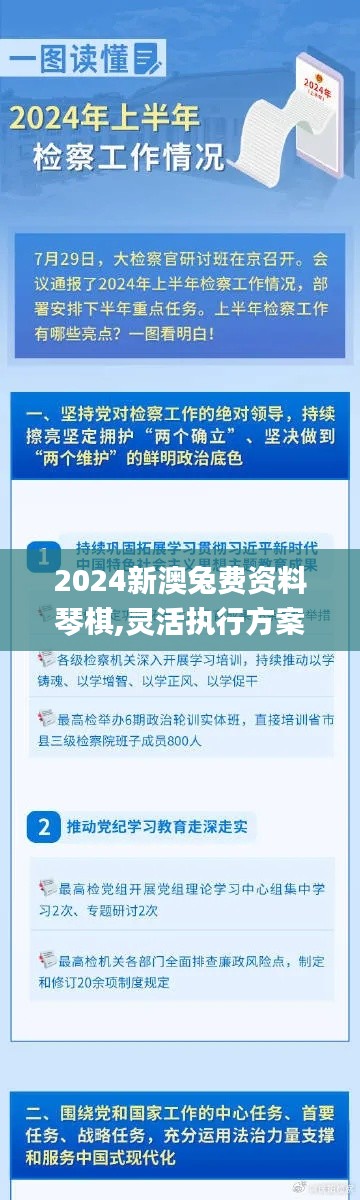 2024新澳兔费资料琴棋,灵活执行方案_穿戴版RGV1.23