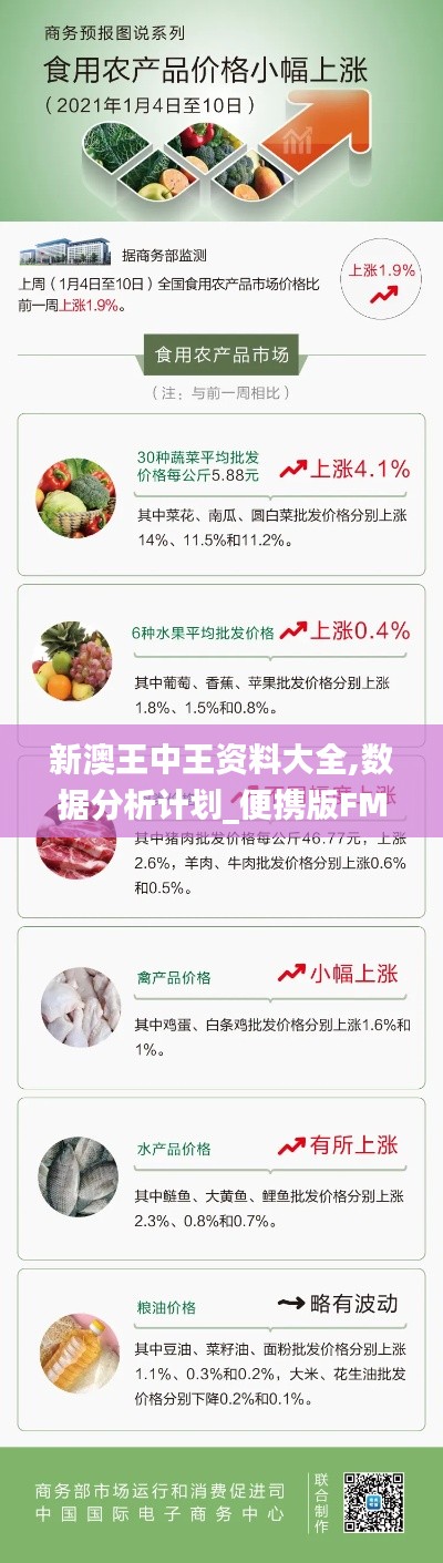 新澳王中王资料大全,数据分析计划_便携版FMR1.10