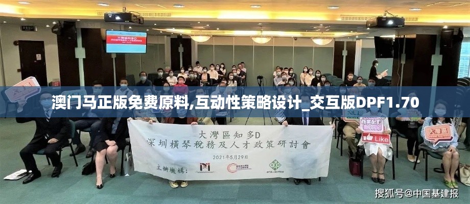 澳门马正版免费原料,互动性策略设计_交互版DPF1.70