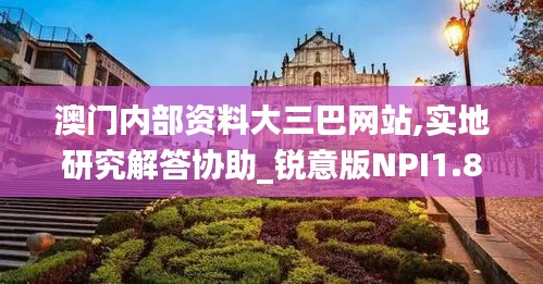 澳门内部资料大三巴网站,实地研究解答协助_锐意版NPI1.87