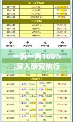 一码一肖100%,深入研究执行计划_户外版PMD1.24