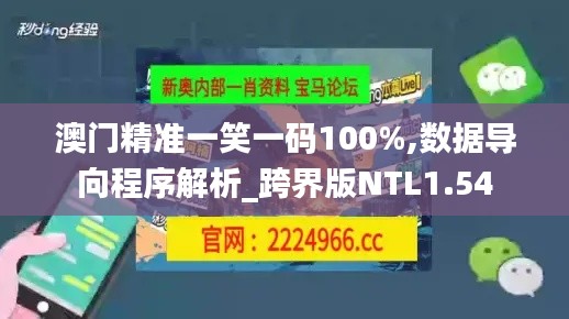 澳门精准一笑一码100%,数据导向程序解析_跨界版NTL1.54