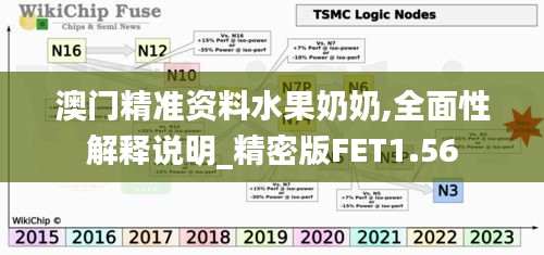 澳门精准资料水果奶奶,全面性解释说明_精密版FET1.56