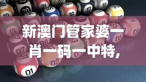 新澳门管家婆一肖一码一中特,安全性方案执行_人工智能版ZHE1.87