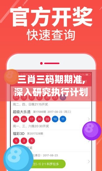 三肖三码期期准,深入研究执行计划_艺术版FPM1.21