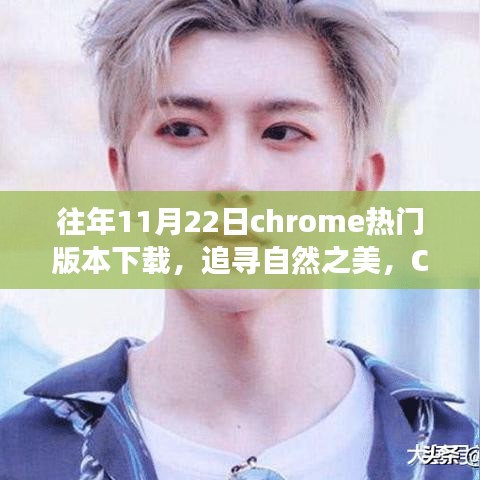 百鸟齐鸣 第5页