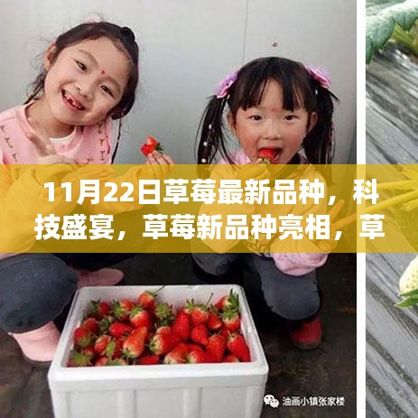 百不一遇 第3页