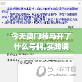 今天澳门特马开了什么号码,实践调查说明_启动版CZO1.1