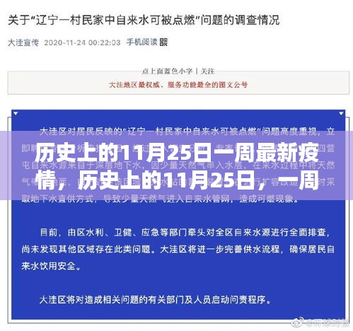历史上的11月25日，一周疫情回顾与洞察，最新疫情动态分析