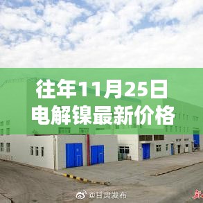 电解镍价格查询指南，历年1月1日至11月25日价格走势及查询方法