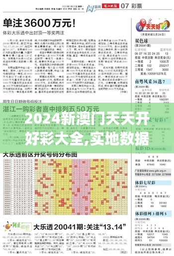 2024新澳门天天开好彩大全,实地数据验证_PhabletDJN16.74