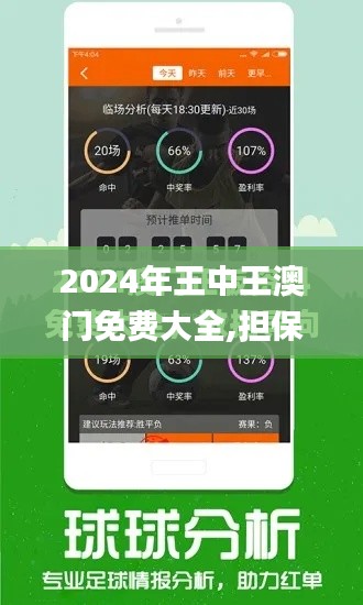 2024年王中王澳门免费大全,担保计划执行法策略_透明版YYF16.92