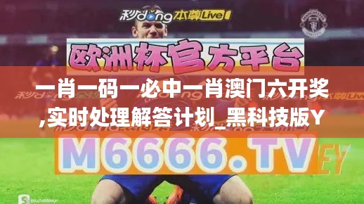 一肖一码一必中一肖澳门六开奖,实时处理解答计划_黑科技版YAE16.80