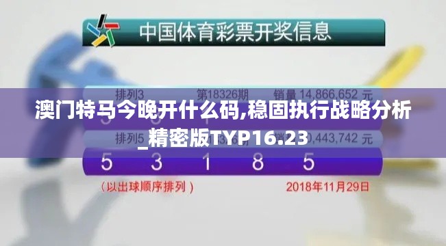 澳门特马今晚开什么码,稳固执行战略分析_精密版TYP16.23