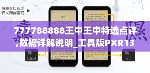 777788888王中王中特选点评,数据详解说明_工具版PXR13.33