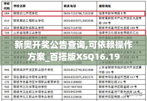 新奥开奖公告查询,可依赖操作方案_百搭版XSQ16.19