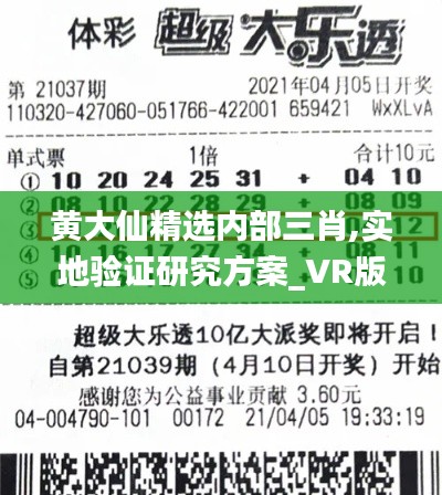 黄大仙精选内部三肖,实地验证研究方案_VR版VZC16.87