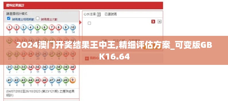 2O24澳门开奖结果王中王,精细评估方案_可变版GBK16.64