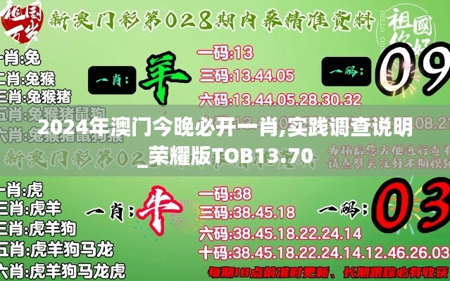 2024年澳门今晚必开一肖,实践调查说明_荣耀版TOB13.70