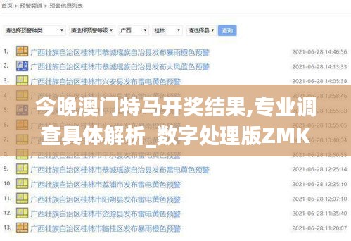 今晚澳门特马开奖结果,专业调查具体解析_数字处理版ZMK16.62