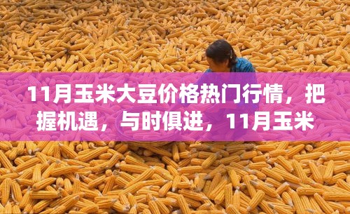 飞扬拨扈 第4页