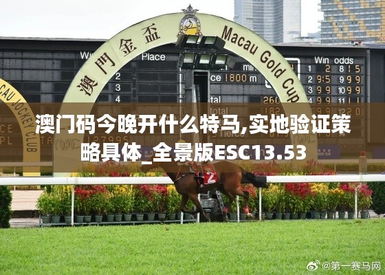 澳门码今晚开什么特马,实地验证策略具体_全景版ESC13.53