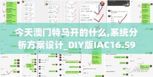 一花独放 第4页