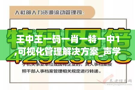 王中王一码一肖一特一中1,可视化管理解决方案_声学版NWF13.66
