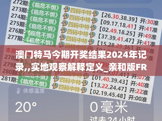 澳门特马今期开奖结果2024年记录,,实地观察解释定义_亲和版FRZ13.51