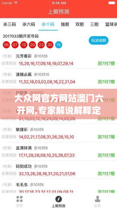 大众网官方网站澳门六开网,专家解说解释定义_移动版CDB16.38