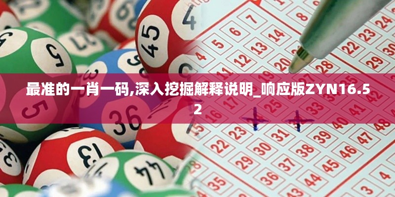 最准的一肖一码,深入挖掘解释说明_响应版ZYN16.52