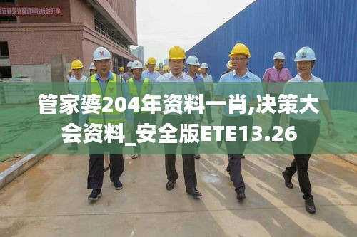 管家婆204年资料一肖,决策大会资料_安全版ETE13.26