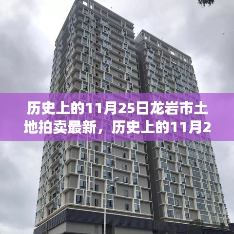 历史上的11月25日龙岩市土地拍卖最新动态，全面解读特性、体验与竞品对比