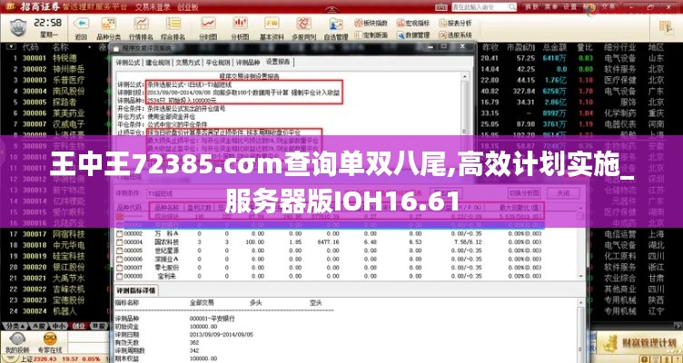 王中王72385.cσm查询单双八尾,高效计划实施_服务器版IOH16.61