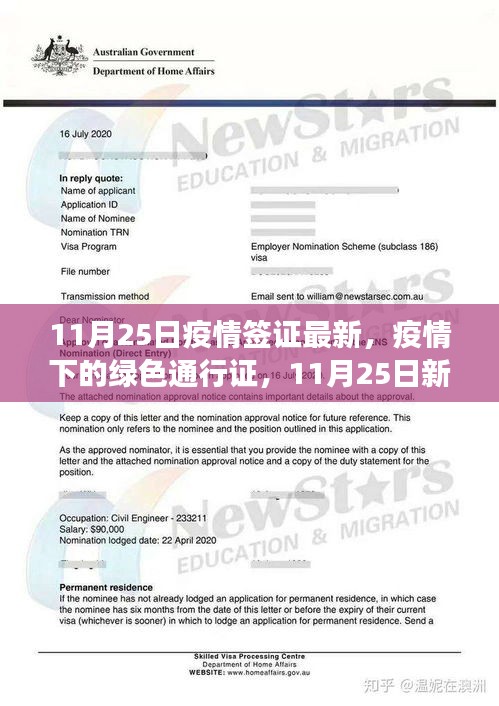 疫情下绿色通行证，最新签证指南与探索自然美景的奇妙之旅（11月25日更新）
