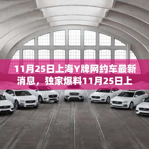 炙手可热 第4页