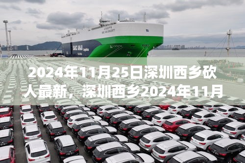 深圳西乡砍人事件，社会视角的深度解析与个人立场探讨（最新消息）