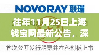 解读上海钱宝网最新公告，多方观点与个人立场碰撞解析