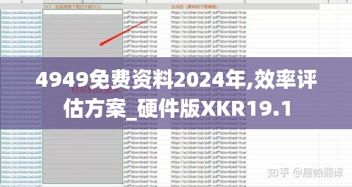 4949免费资料2024年,效率评估方案_硬件版XKR19.1