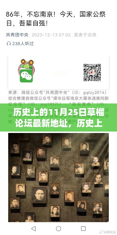 历史上的11月25日草榴论坛最新动态深度解析及影响探讨