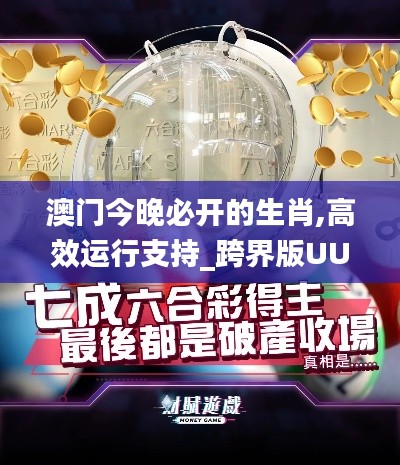 澳门今晚必开的生肖,高效运行支持_跨界版UUA10.40