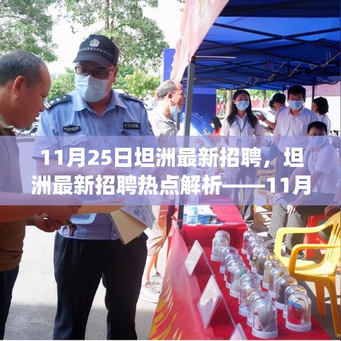 坦洲最新招聘热点解析，11月25日招聘市场概览
